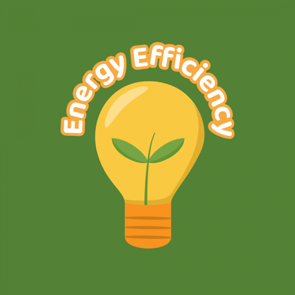 Energy Efficiency Upgrade Grant